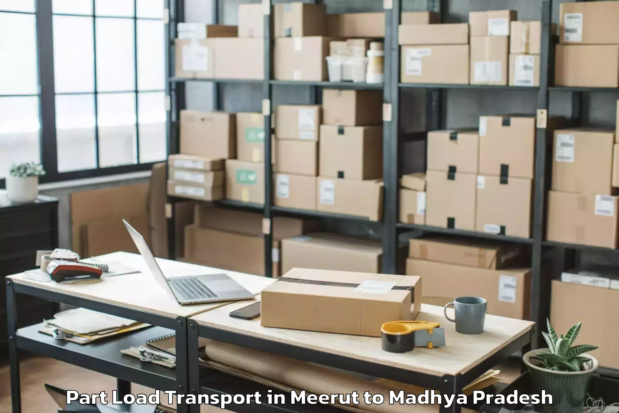 Book Meerut to Bhopal Airport Bho Part Load Transport